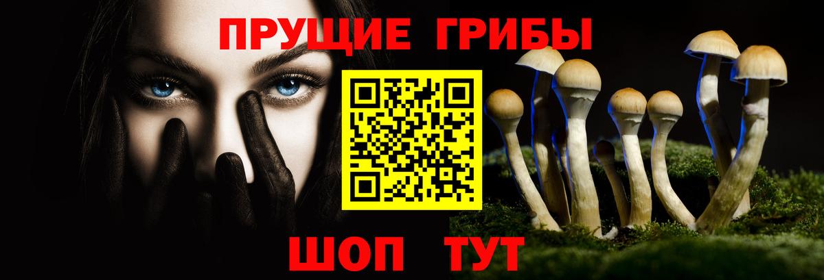 Ставрополь  Галлюциногенные грибы Magic Shrooms  Вход с VPN 